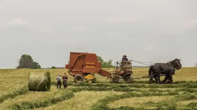 Horoscop Alina Bădic pentru săptămâna 2-8 august: „Să vedem ce se întâmplă în această buclă energetică ce are