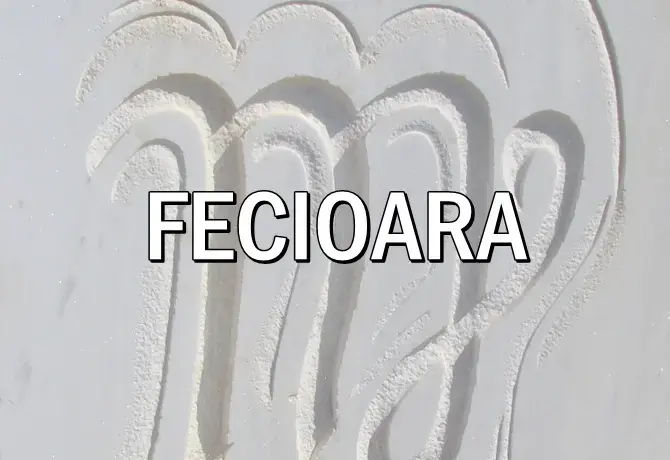 Horoscop Fecioară: Ce ne rezervă astrele în următoarele trei zile
