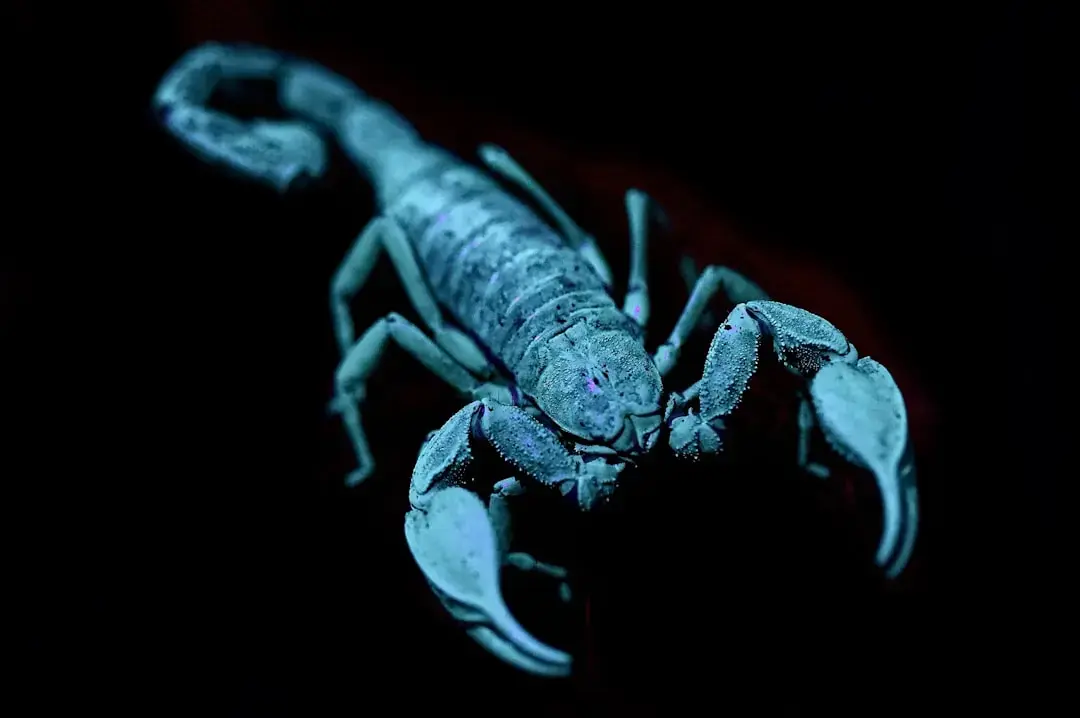 Horoscop Scorpion: Schimbări majore la orizont pe 7 august 2026