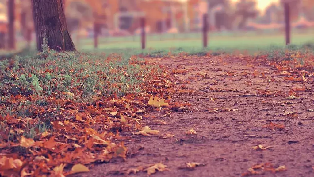 Horoscopul zilei de luni, 20 iulie 2026: Ce ne rezervă astrele?