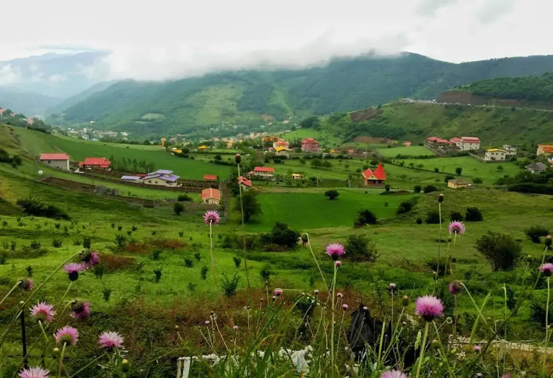 Horoscopul zilei de marți, 28 iulie 2026: Previziuni astrale complete