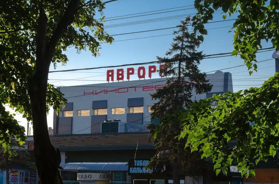 Peștii lasă distracția deoparte: 10 august 2026 aduce rigoare și planuri concrete
