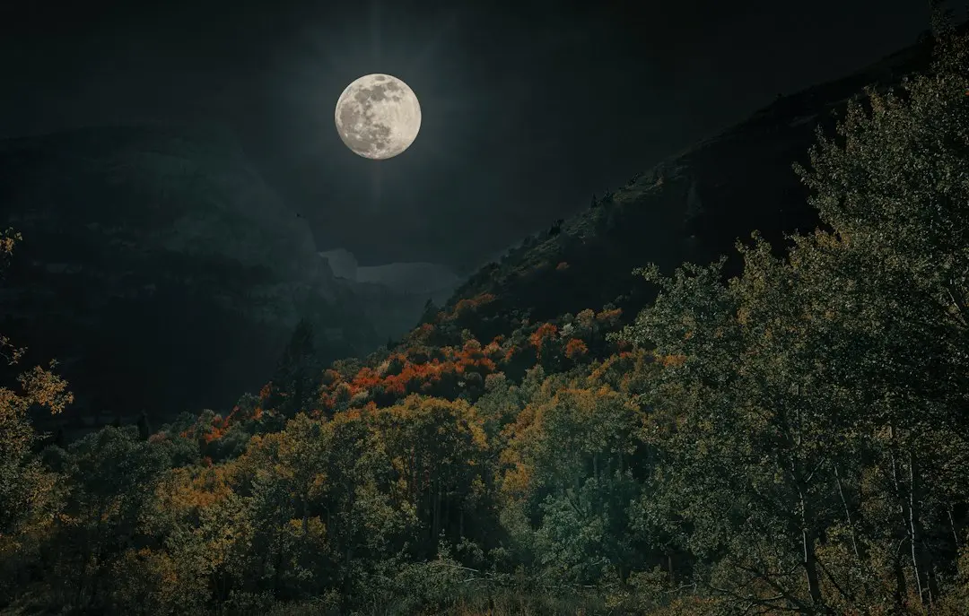 Horoscopul lunii octombrie 2026 pentru zodiacul Acvaria – predicții detaliate